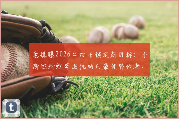意媒曝2026年纽卡锁定新目标：小斯坦科维奇成托纳利最佳替代者，转会动态深度解读